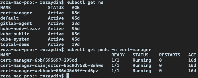 image kubectl